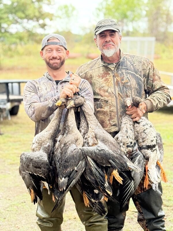 Two hunters in camouflage holding up a heavy strap of specklebelly geese between them, in a grass field on an overcast morning.